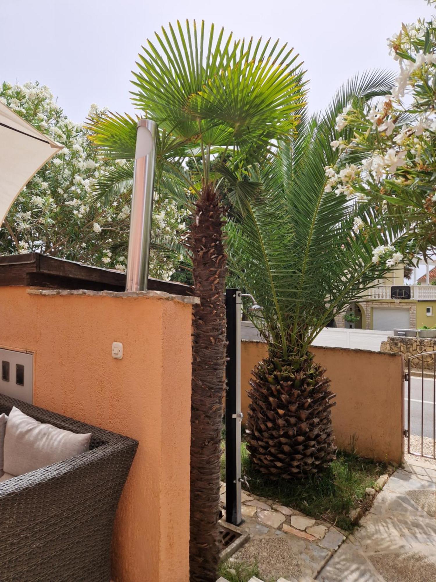 Aurelia Apartments, Vir Rom bilde